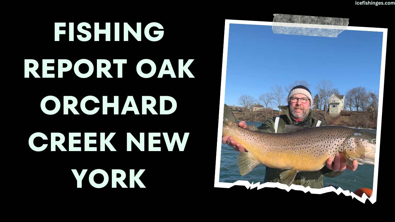 Fishing Report OAK Orchard Creek New York