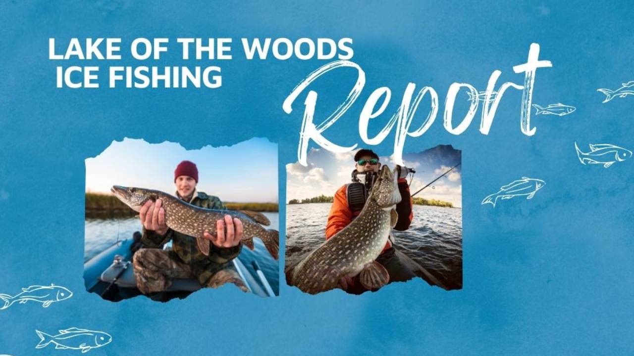 Lake of The Woods Ice Fishing Report