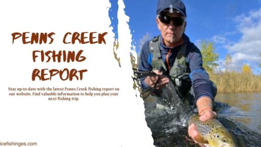 Penns Creek Fishing Report