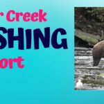 Bear Creek Fishing Report