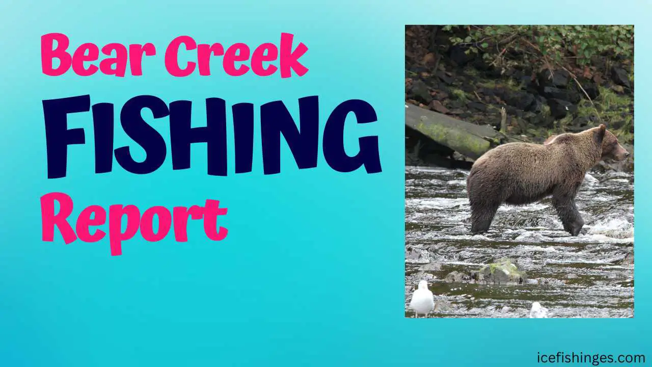 Bear Creek Fishing Report