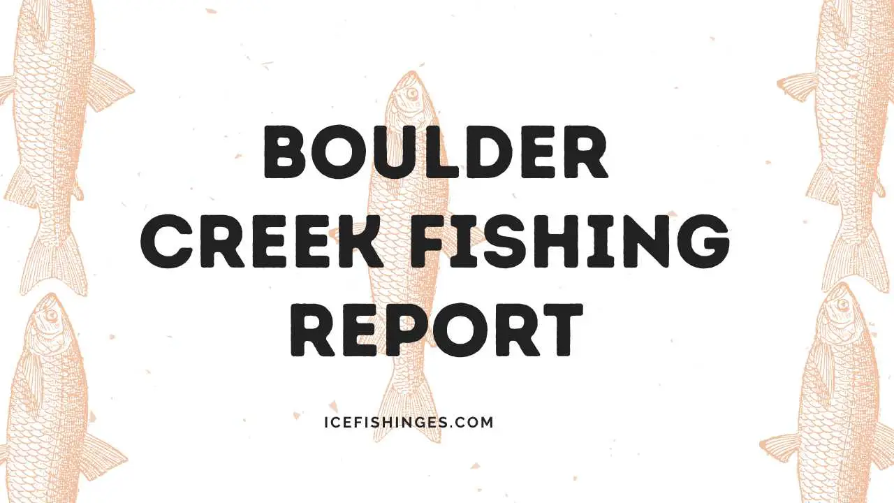 Boulder Creek Fishing Report