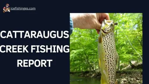 Cattaraugus Creek Fishing Report