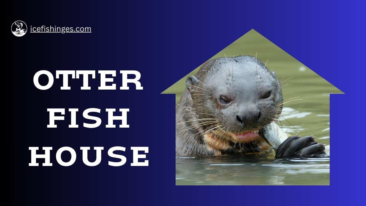 Otter Fish House