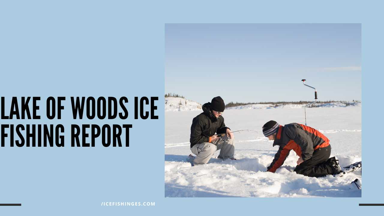 lake of Woods ice fishing report